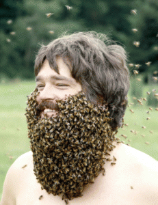 Man with bees for a beard