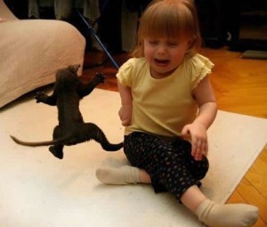 Photo of cat attacking baby