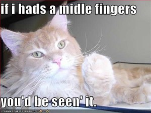 Photo of a cat giving the finger, with the text "If I hads a middle fingers, you'd be seen' it"
