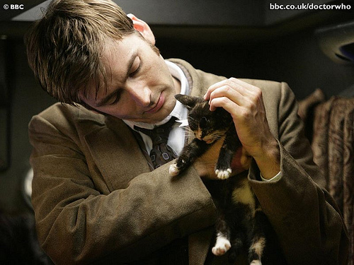 David Tennant holding a tiny kitten.