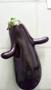 Eggplant lying against a white background, with little protrusions that look like shrugging arms